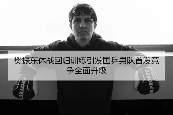 樊振东休战回归训练引发国乒男队首发竞争全面升级